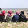 Flotilla, parola d'ordine: corridoio umanitario
