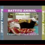 Battito Animale. Le foto dei nostri pelosetti. Parte 2